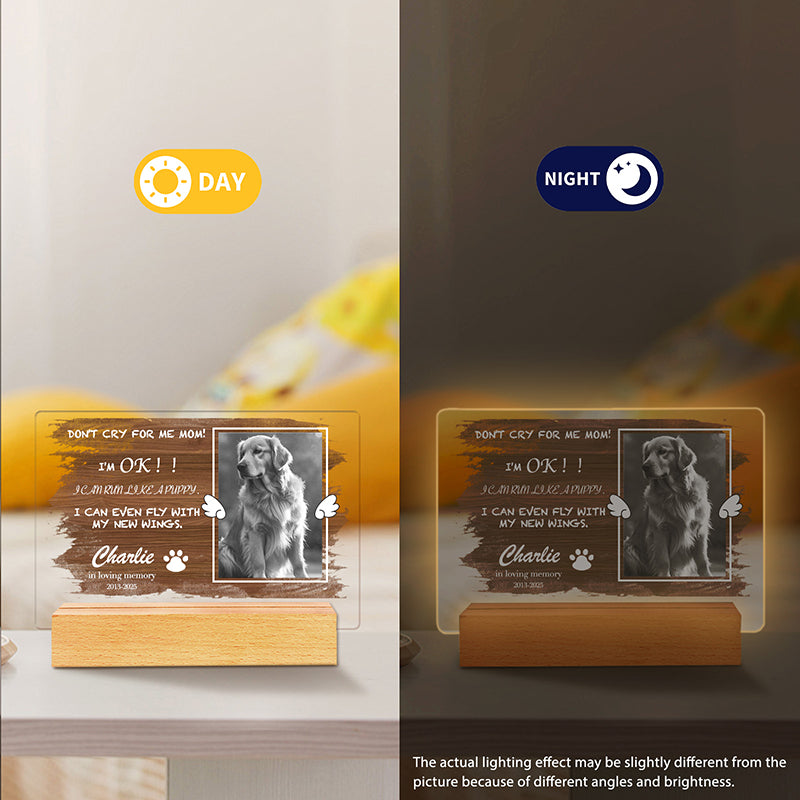 Custom Photo Don't Cry For me Mom! Personalized Pet Memorial Acrylic Night Light-Sympathy Gift For Pet Owners, Pet Lovers