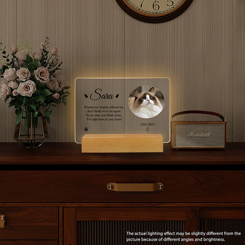 Custom Pet Memorial LED Plaque – Personalized Tribute for Cats & Dogs