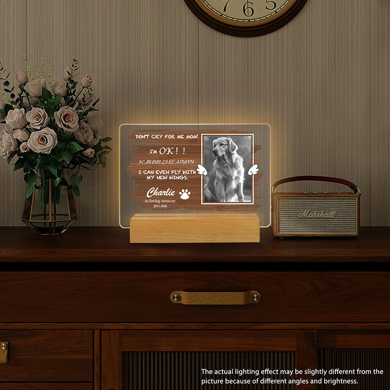 Custom Photo Don't Cry For me Mom! Personalized Pet Memorial Acrylic Night Light-Sympathy Gift For Pet Owners, Pet Lovers