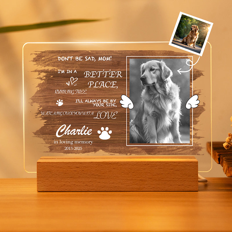 Custom Photo Don't Cry For me Mom! Personalized Pet Memorial Acrylic Night Light-Sympathy Gift For Pet Owners, Pet Lovers