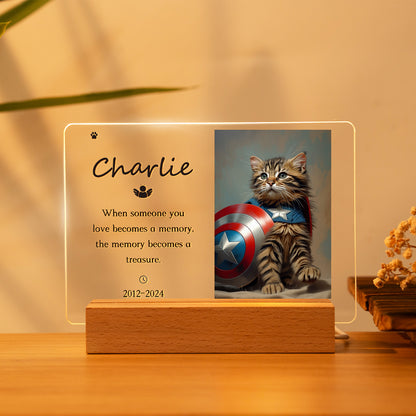 Personalized Pet Memorial Acrylic Night Light